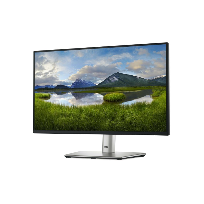 Dell Pro 22 Plus Monitor - P2225H